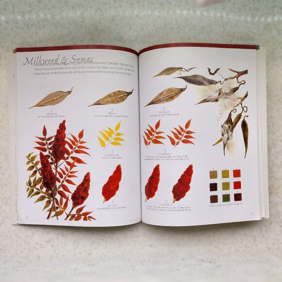 Painting Nature Book - Picture 3 of 5